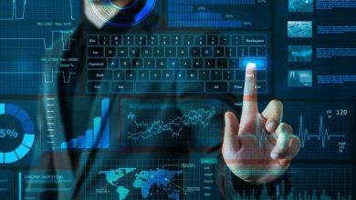 custom-software-application-development-services:-powering-business-innovation-in-2025