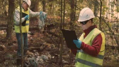 expert-insights:-navigating-the-phase-2-environmental-site-assessment-process